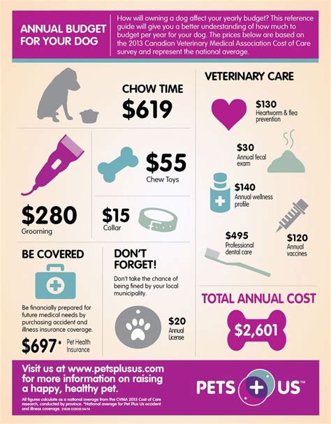 With this kind of dog health insurance you're only covered for injuries. Annual budget for your dog | Pet Infographics | Pinterest | Pets, Health and Pet care