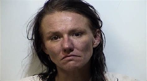 Hopkinsville Woman Charged After Throwing Rocks At Deputy Wkdz Radio