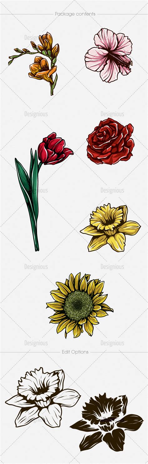 Download Floral Vector Pack 118