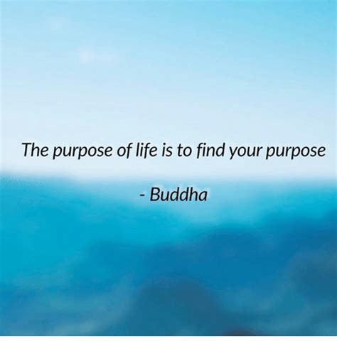 The Purpose Of Life Is To Find Your Purpose Buddha Life Meme On Meme