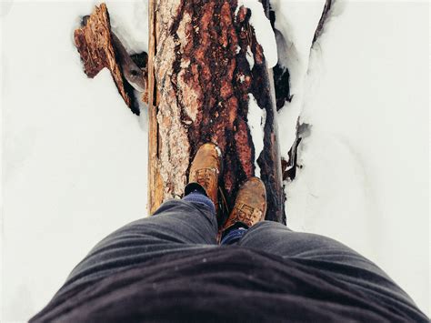 Free Images Hand Person Snow Winter Wood Photography Standing