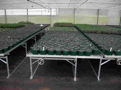 Greenhouses Rolling Nursery Benches Greenlife Structures