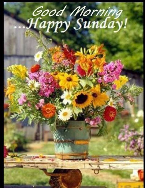 Good Morning Happy Sunday Image With Flowers Pictures Photos And