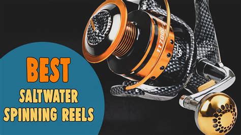 Best Saltwater Spinning Reels In 2021 Portable Flexible Affordable