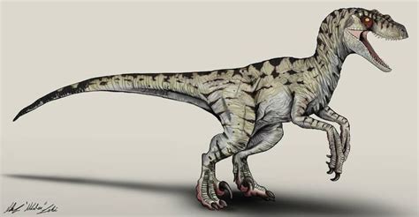 Jurassic Park Velociraptor Female By Nikorex On Deviantart