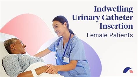 Urinary Catheter Insertion For Females Ausmed Explains