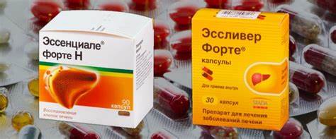 Эссенциале форте отзывы похудел Что лучше Эссливер Форте и Эссенциале Форте: отличия, отзывы Что лучше Эссливер Форте и Эссенциале Форте: отличия, отзывы Эссенциале форте отзывы похудел