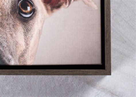 We did not find results for: FRAMED CANVAS | Seldex Artistic Albums