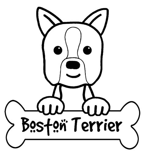 Boston terriers are brindle or black with white markings. coloringpagebostonterrier