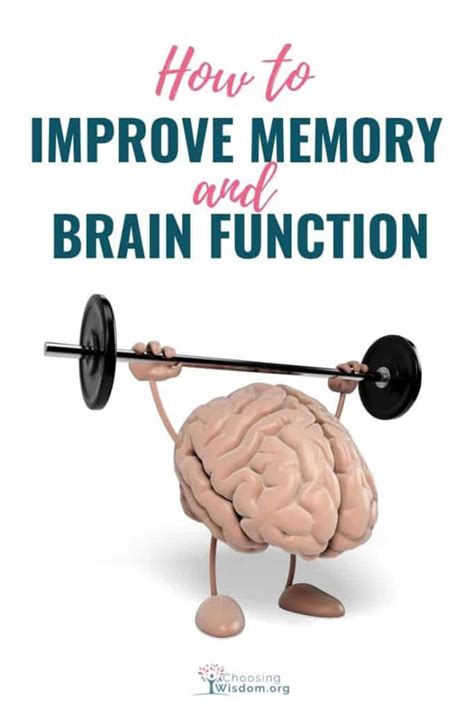 How To Improve Brain Function And Memory