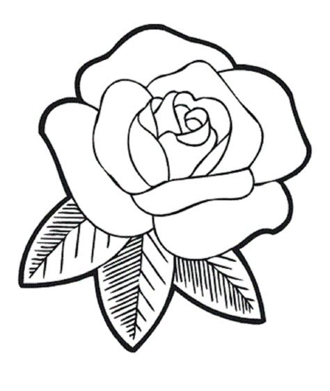 Rose Drawing Easy Step By Step At Explore