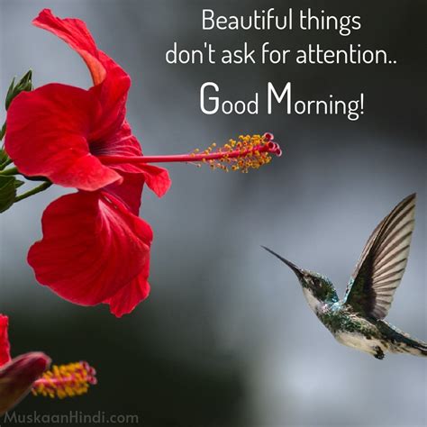 Good Morning Quotes Best 50 Wishes With Images