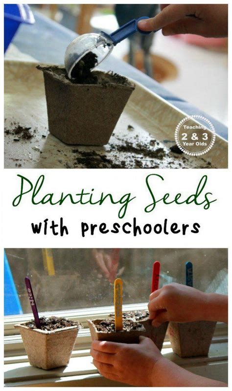 Seed germination and seedling problems. How to Plant Seeds with Kids | Preschool garden ...