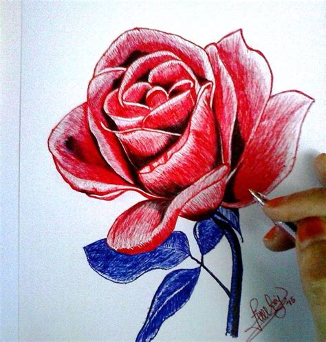 35 Contoh Gambar Kartun Bunga Mawar Yang Lagi Viral Informasi