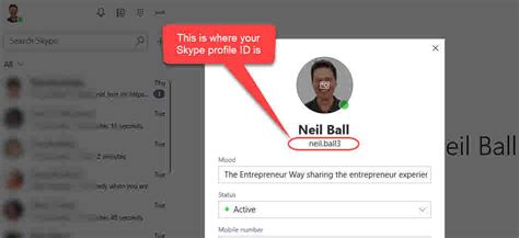How To Find Your Skype Profile Id The Entrepreneur Way