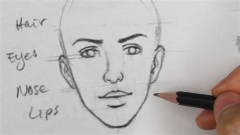 How To Draw Lips For Beginners Easy The Curve Of The Mouth