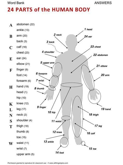 Here Is A Useful Infographic Covering 24 Parts Of The Human Body For