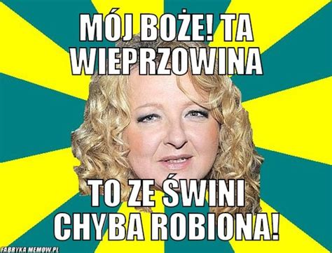 Memy internetowe: czym są i skąd się wzięły? | Poznań Nasze Miasto