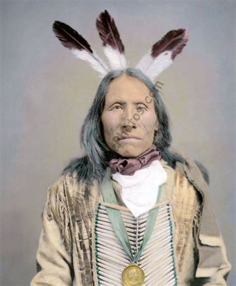 Iron Bear Yankton Dakota Sioux Native American Indian 1904 In 2020