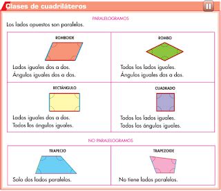 El Blog De Cuarto La Clasificaci N De Los Cuadril Teros