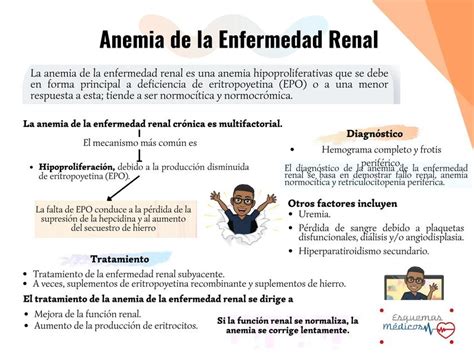Anemia De La Enfermedad Renal Crónica