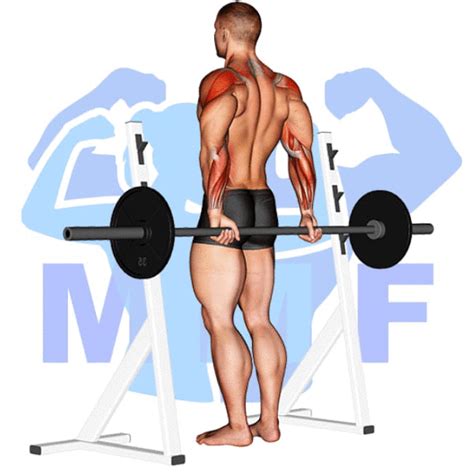 Barbell Rear Delt Raise Your Simple Exercise Guide For Good Form