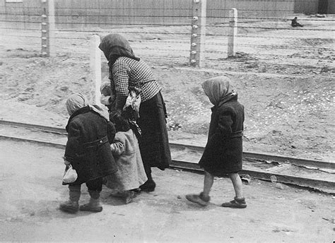 Um ihn vor gericht zu. File:Bundesarchiv Bild 183-74237-004, KZ Auschwitz ...