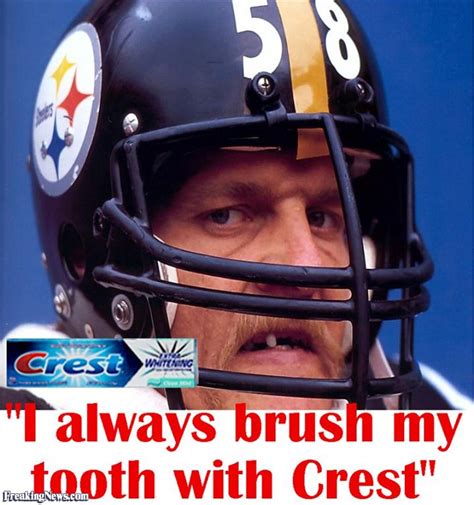 Funny Steelers Quotes Quotesgram