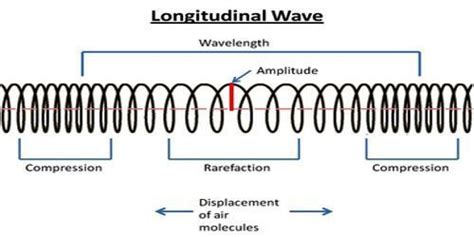Mechanical longitudinal waves are also called compressional or compression waves. difference between longitudinal and transverse wave ...