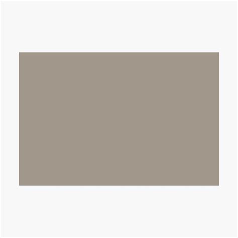 Greige Grey Solid Color 2022 Popular Trending Shade Ppg Gray By Me
