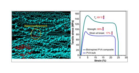 Bioinspired Design Of Strong Tough And Thermally Stable Polymeric