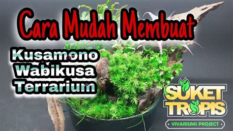 Anda bisa menggunakan hampir semua tanaman yang tidak terlalu memerlukan perawatan untuk ditanam di terarium. Cara Membuat Terrarium Part 1 - YouTube