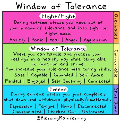 The Window Of Tolerance Self Love Rainbow Vrogue Co