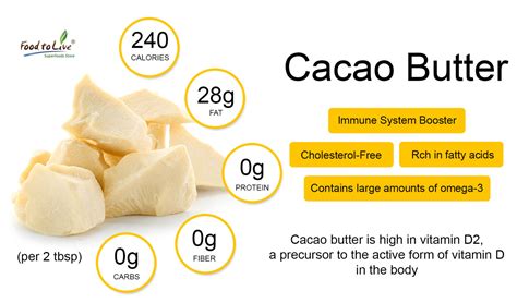 Cacao Guide Raw Cacao And Its Products Healthy Blog
