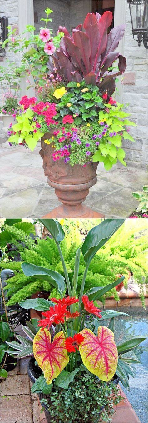 Colorful Mixed Pots Flower Gardening With 30 Plant Lists Beautiful