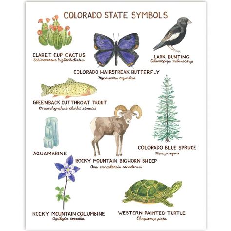 The Colorado State Symbols Are Shown In This Illustration With Animals