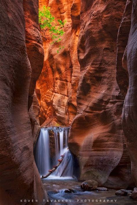 Kanarra Falls Zion National Park Utah Top 10 Usa Waterfalls Places
