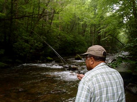 Guided Fly Fishing Trips In The Smokies Hookers Fly Shop And Guide
