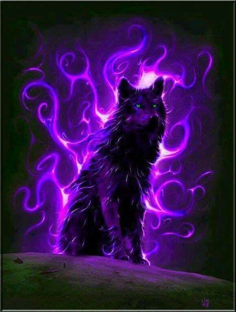 Angry Black Wolf With Red Eyes Profile Picture Jutawan Wallpaper