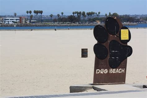 Ocean Beach Dog Beach San Diego Ca California Beaches