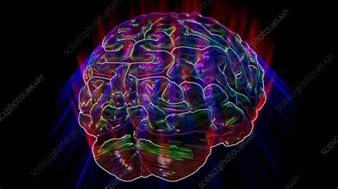 Rotating Brain Animation Stock Video Clip K0087626 Science Photo