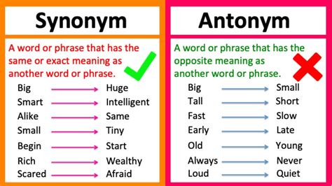 Synonym Vs Antonym 🤔 Whats The Difference Learn With Examples