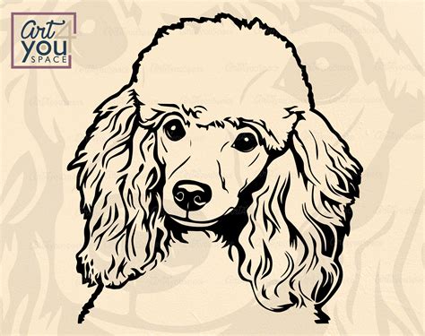 Poodle Svg Dog Svg Files For Cricut French Poodle Clipart Etsy