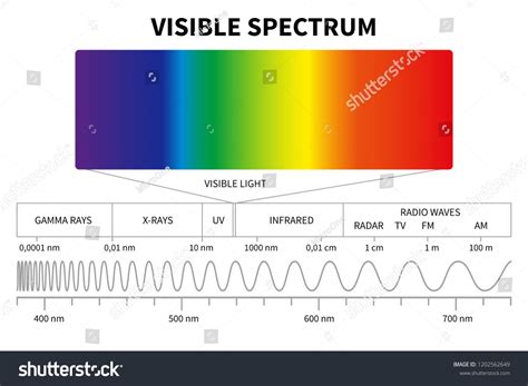 Visible Light Diagram Color Electromagnetic Spectrum Stock Vector