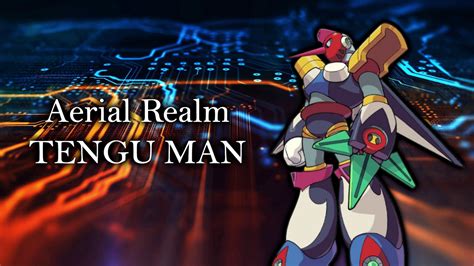 Mega Man And Bass Aerial Realm Tengu Man Arranged Youtube