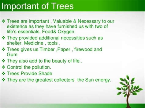 😊 Introduction Of Tree Plantation Tree Plantation Paragraph 2019 01 31