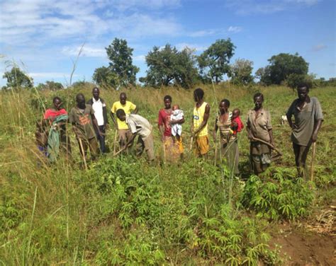 Un Eu Boost Farmers In Northern Uganda Nile Post