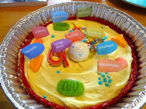 Animal Cell Cake Edible Cell Project Plant Cell Proje