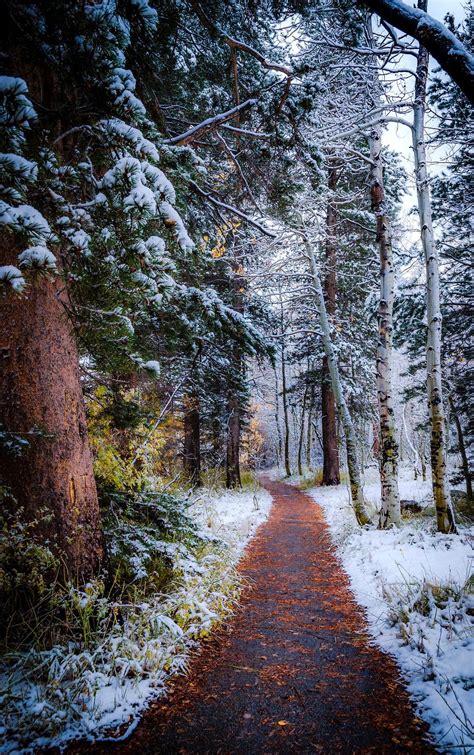 Winter Path June Lake California By Cat Connor On 500px 🇺🇸 Winter