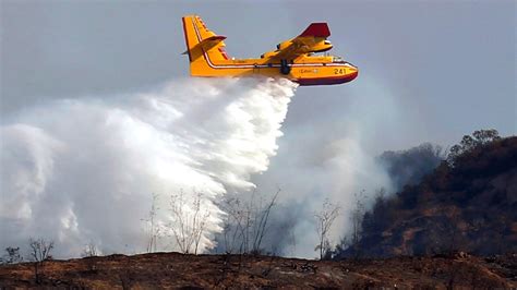 Fighting Forest Fires Quebec Spends 42m To Upgrade Water Bombers